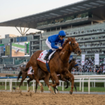 International Stars Convene for 2026 Dubai World C