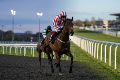 Friday horse racing tips for Wetherby and Newcastle
