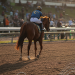 Horse racing slow play makes it outlier in gambling concerns