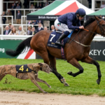 Horseracing vs Dogracing Debate Intensifies Over Welfare