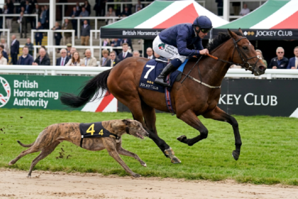 Horseracing vs Dogracing Debate Intensifies Over Welfare